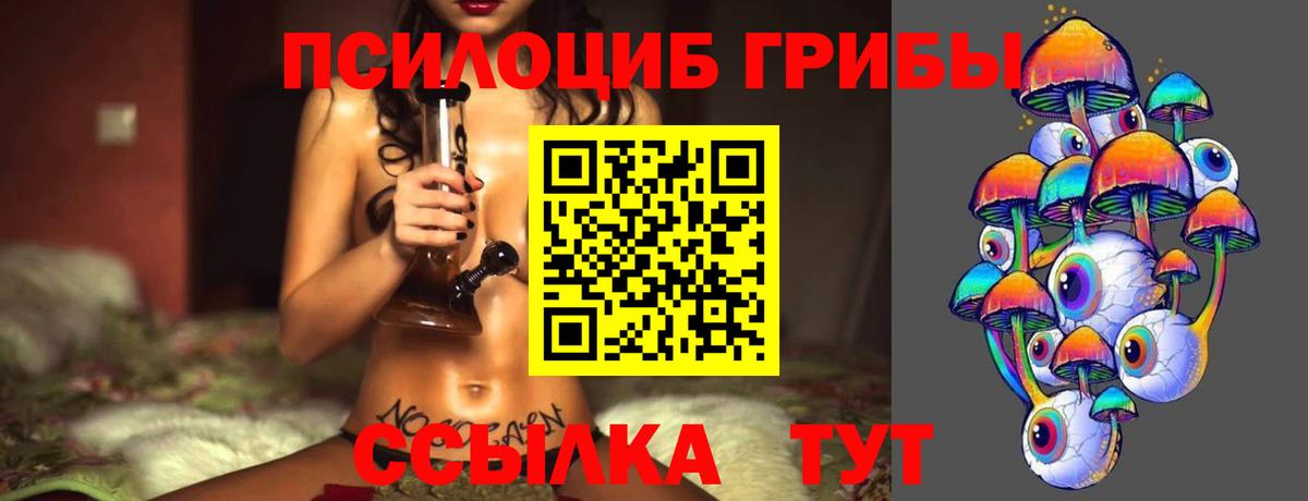 Псилоцибиновые грибы Cubensis Кудрово